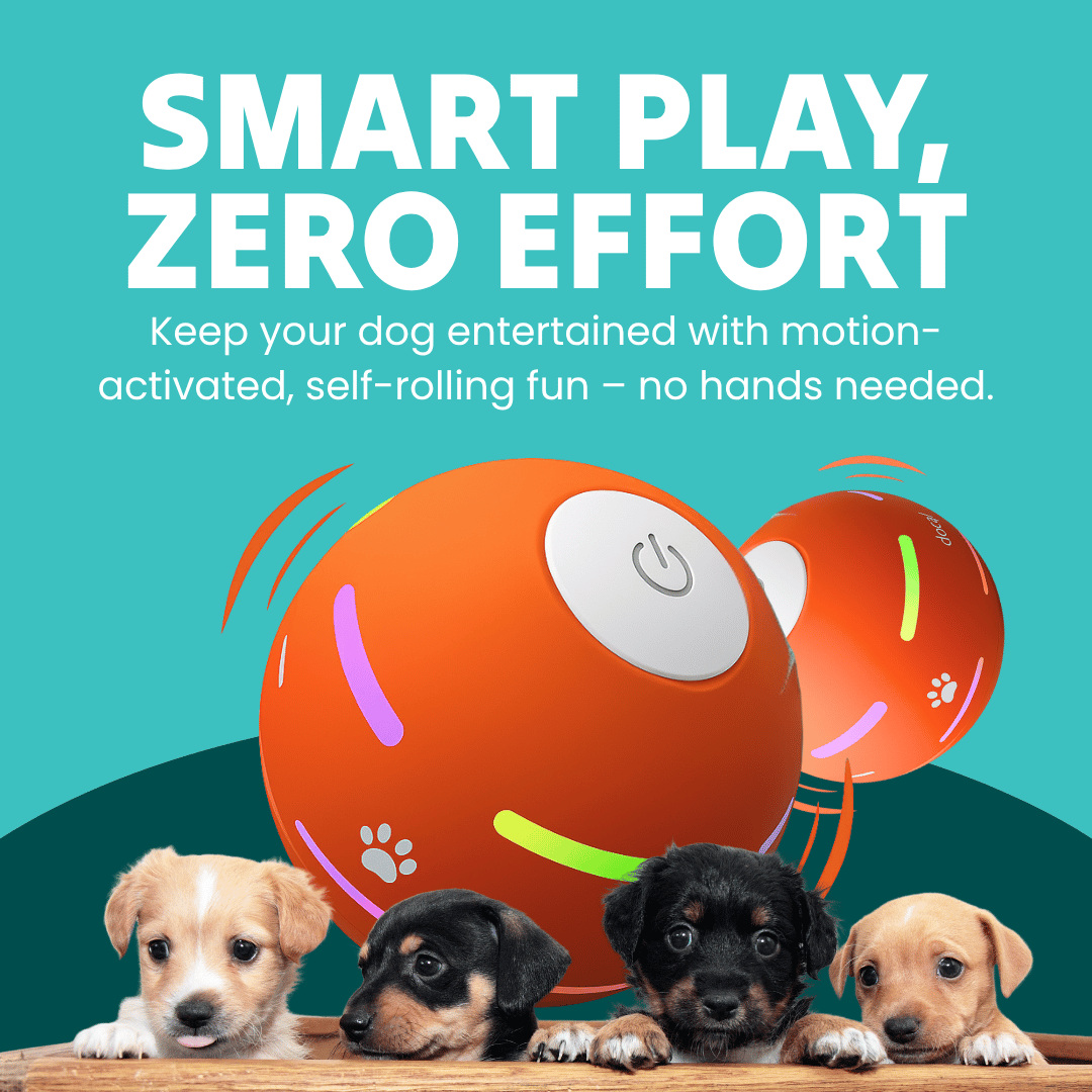 DOG’S INTERACTIVE BALL